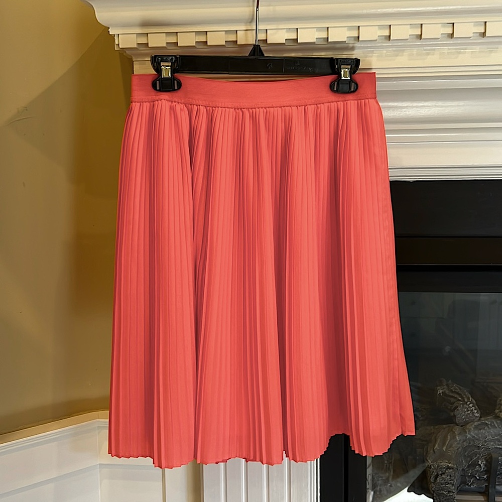Pleated Knee Length Skirt